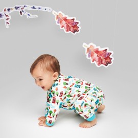 Lorem ipsum dolor sit  amet conse ctetur